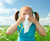 alergia polen-pollen allergy
