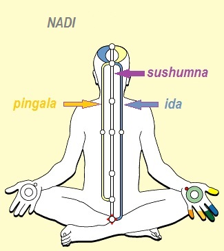 nadi