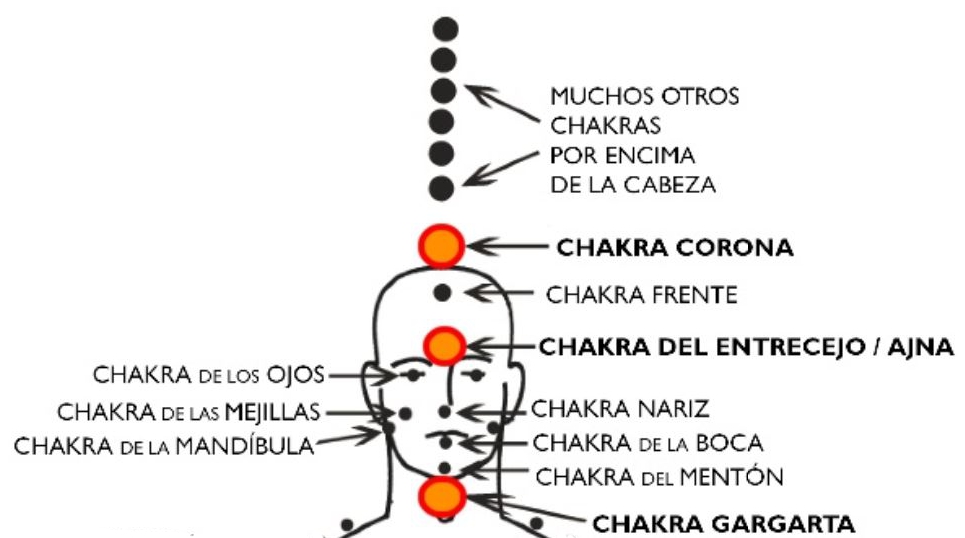 chakras cabeza