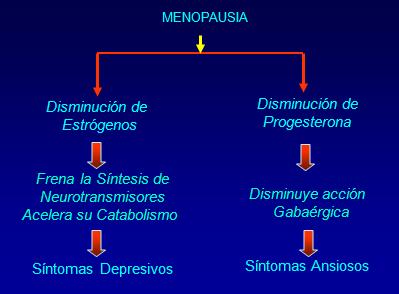 efectos menopausia