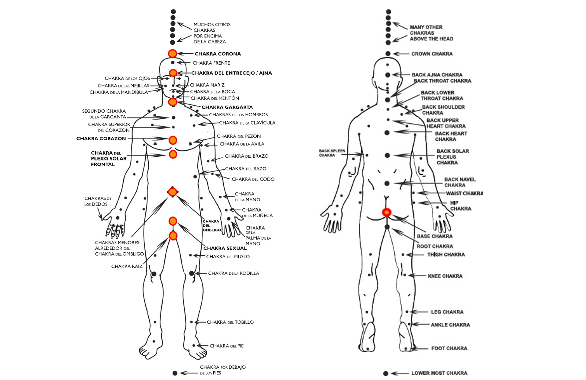 sistema de chakras sistema de chakras