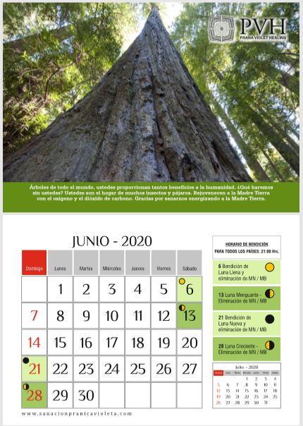 6 Calendario 2020 JUNIO A3 JUNIO 2020 - ÁRBOLES