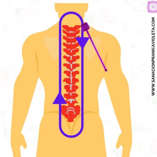 sanar columna vertebral (1)