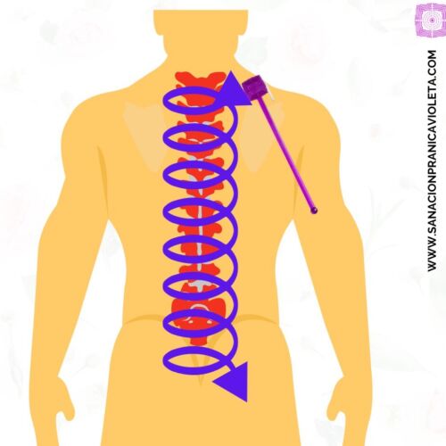 sanar columna vertebral (2)