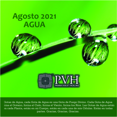 8) Agosto - GOTA DE AGUA Cada gota de agua es una gota de Fuego Divino. Cada gota de agua forma el océano, forma el cielo, forma el viento, forma los ríos. Las gotas de agua están en cada planta, están en mi cuerpo, están en cada una de mis células. Están en todas partes. Gracias, Gracias, Gracias. 8 agosto - Bendición luna nueva 22 agosto - Bendición luna llena
