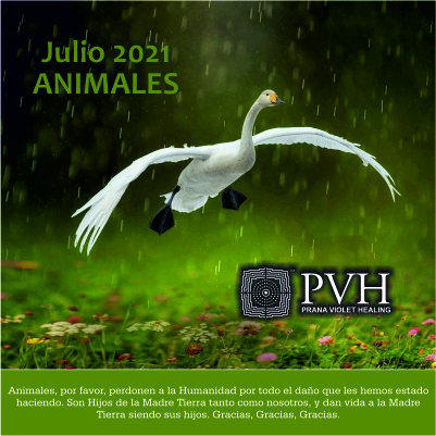 7) Julio - ANIMALES Por favor, perdonen a la humanidad por todo el daño que les hemos estado haciendo. Ustedes son hijos de la Madre Tierra tanto como nosotros y dan vida a la Madre Tierra al ser sus hijos. Gracias, Gracias, Gracias. 10 julio - Bendición luna nueva 24 julio - Bendición luna llena