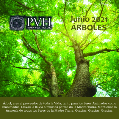 6) Junio - ÁRBOL Eres el proveedor de toda la Vida, tanto para los seres animados como inanimados. Llevas la lluvia a muchas partes de la Madre Tierra. Mantienes la armonía de todos los seres de la Madre Tierra. Gracias, Gracias, Gracias. 10 junio - Bendición luna nueva 25 junio - Bendición luna llena