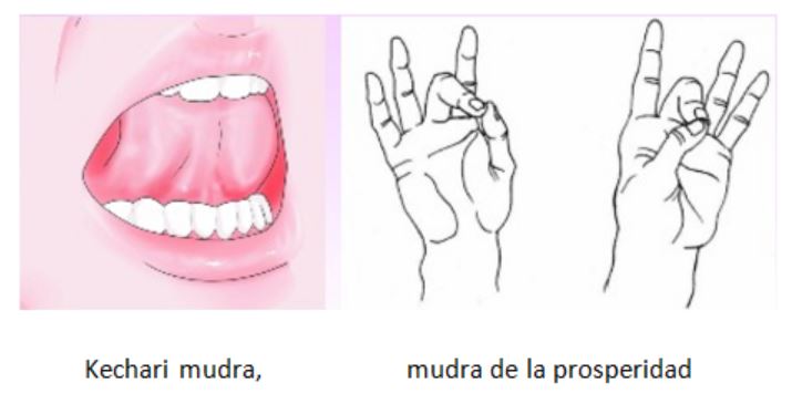 kechari mudra-prosperidad