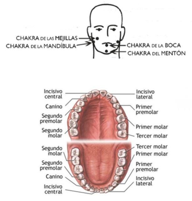 periodontitis sanar