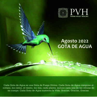 AGOSTO 2022 AGOSTO 2022