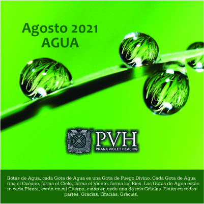 agosto 2021 8) Agosto - GOTA DE AGUA Cada gota de agua es una gota de Fuego Divino. Cada gota de agua forma el océano, forma el cielo, forma el viento, forma los ríos. Las gotas de agua están en cada planta, están en mi cuerpo, están en cada una de mis células. Están en todas partes. Gracias, Gracias, Gracias. 8 agosto - Bendición luna nueva 22 agosto - Bendición luna llena