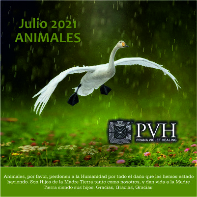 julio 2021 7) Julio - ANIMALES Por favor, perdonen a la humanidad por todo el daño que les hemos estado haciendo. Ustedes son hijos de la Madre Tierra tanto como nosotros y dan vida a la Madre Tierra al ser sus hijos. Gracias, Gracias, Gracias. 10 julio - Bendición luna nueva 24 julio - Bendición luna llena