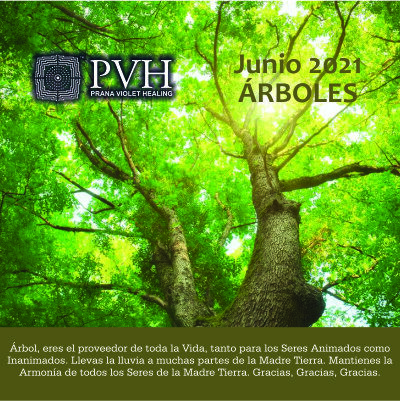 junio 2021 6) Junio - ÁRBOL Eres el proveedor de toda la Vida, tanto para los seres animados como inanimados. Llevas la lluvia a muchas partes de la Madre Tierra. Mantienes la armonía de todos los seres de la Madre Tierra. Gracias, Gracias, Gracias. 10 junio - Bendición luna nueva 25 junio - Bendición luna llena