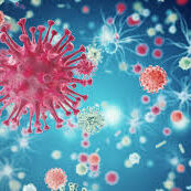 virus1